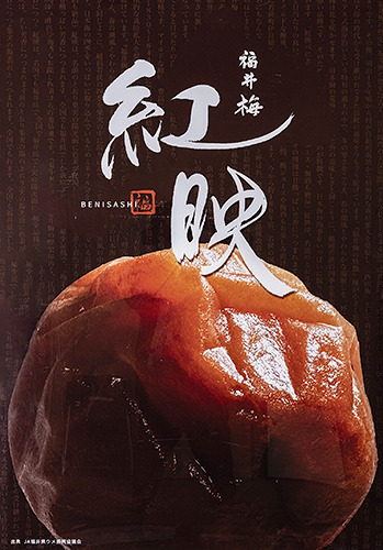 県美展賞「福井梅　紅映」