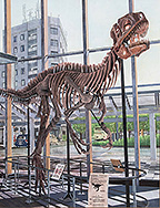 福井県教育委員会賞