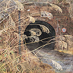 福井県議会議長賞