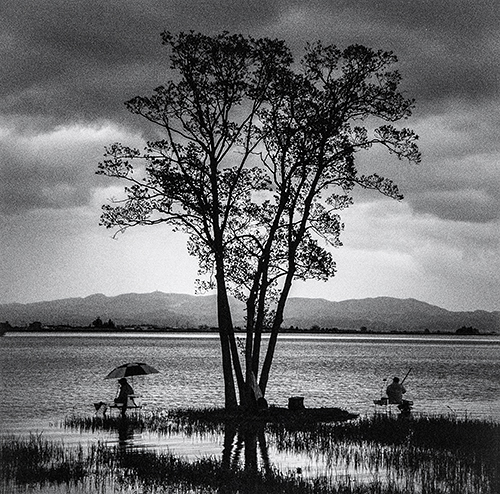 県美展賞「雨上がり」