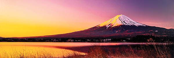 県議会議長賞「暁紅富士」