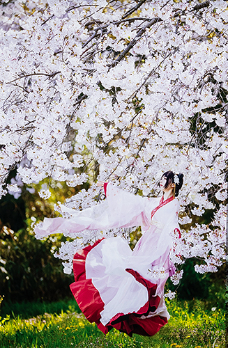 福井県立美術館館長賞「春風」
